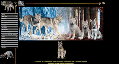 Desktop Screenshot of le-chien-loup-tchecoslovaque.com